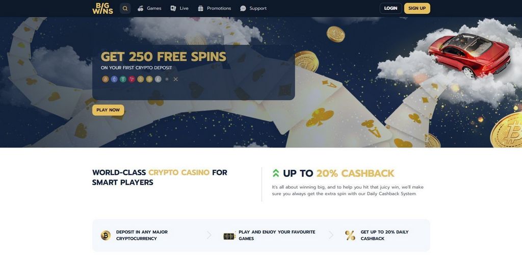 BigWins Casino Site Evaluation & Scores by Genuine Players - 2025